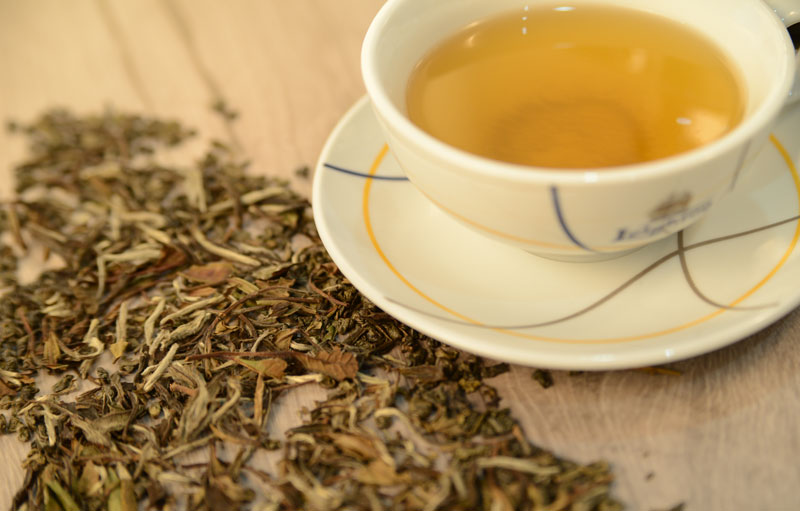 Oasisvenezia-the-infusi-tisane-bar Oasisvenezia-the-infusi-tisane-bar