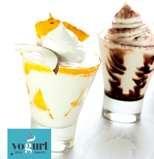 yogurt2